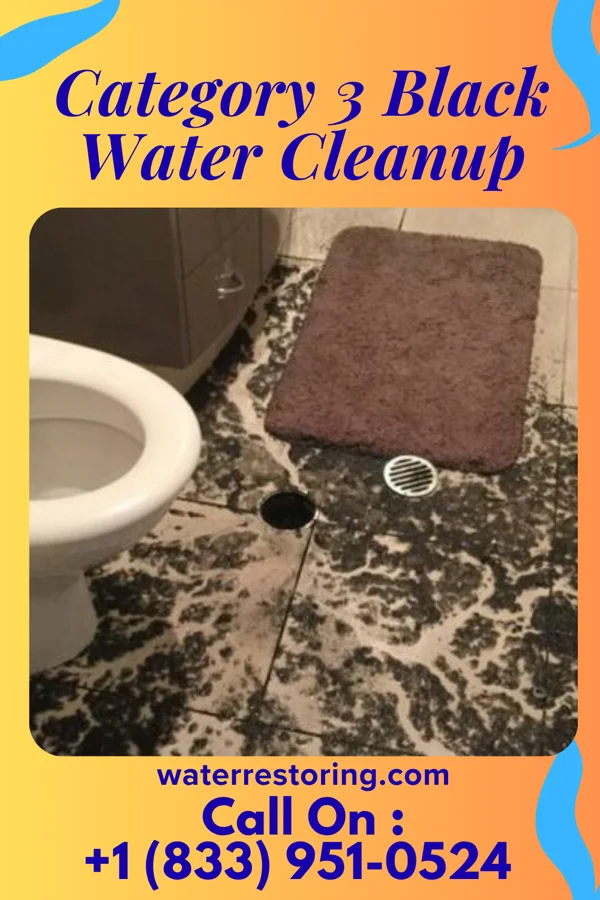 Category 3 Black Water Cleanup in Davis Junction, IL