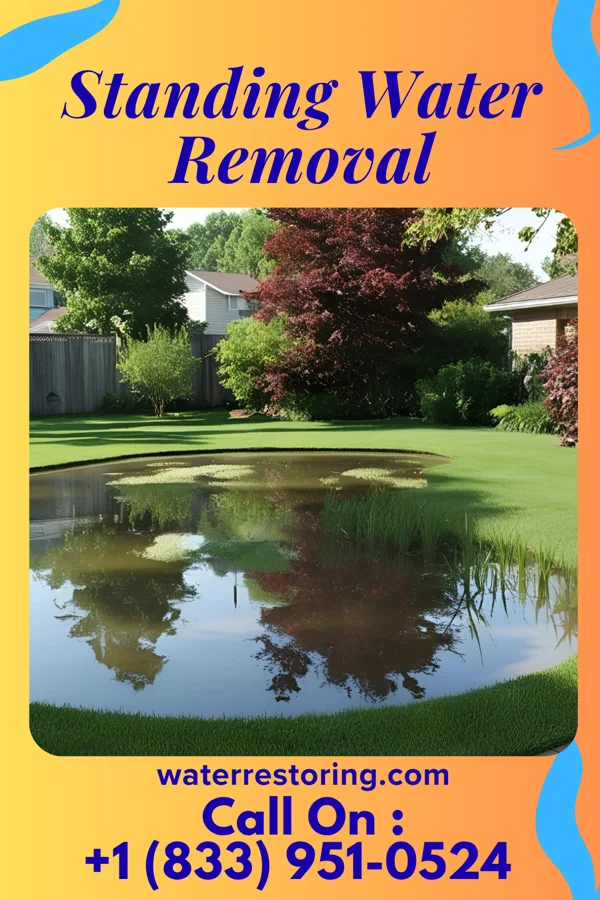 Standing Water Removal in Davis Junction, IL